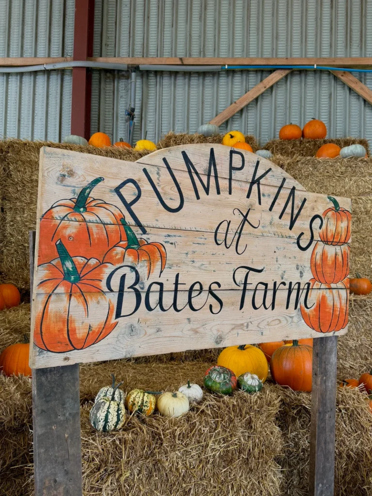 Pumpkin Patch 2026_11