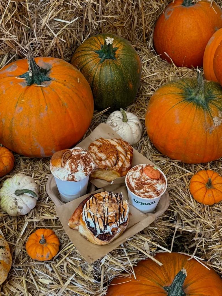 Pumpkin Patch 2026_14